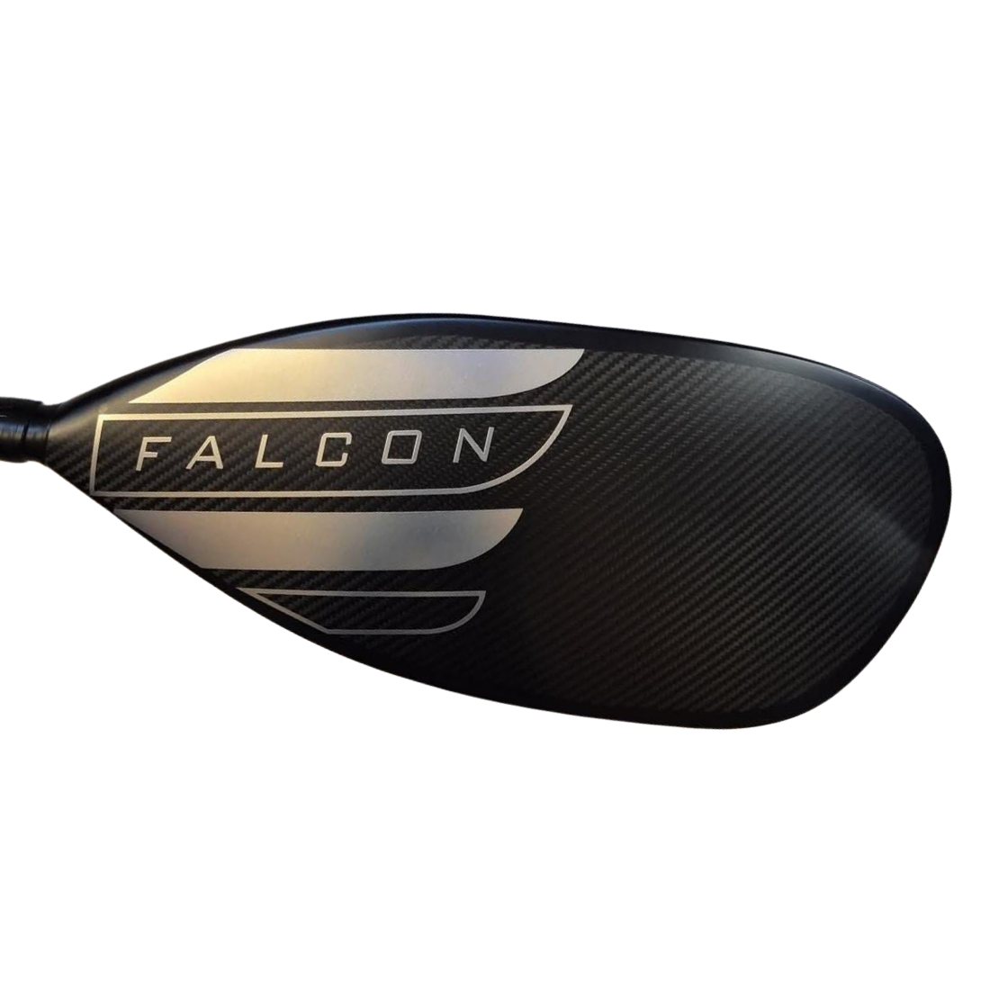 Falcon Rapine - Blades